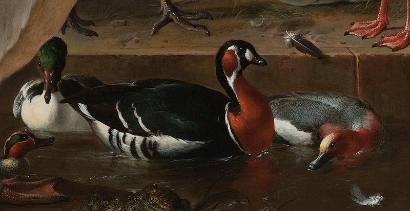 Melchior de Hondecoeter Floating Feather Sweden oil painting art